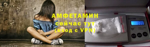 прущие грибы Аркадак