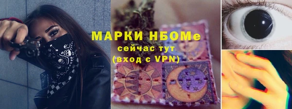 прущие грибы Аркадак