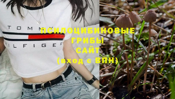 не бодяженный Арсеньев