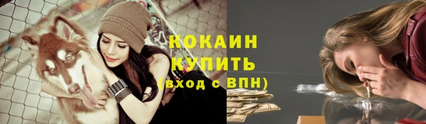прущие грибы Аркадак