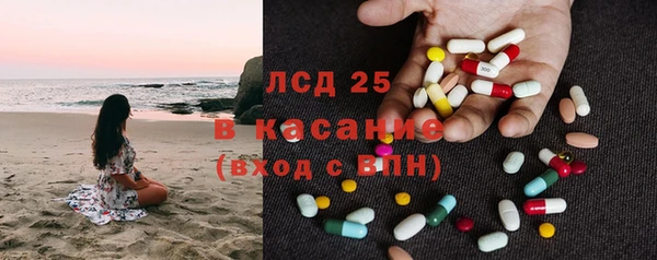 прущие грибы Аркадак