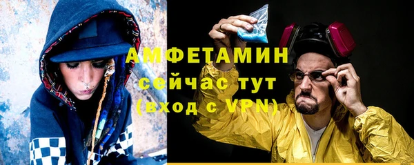прущие грибы Аркадак