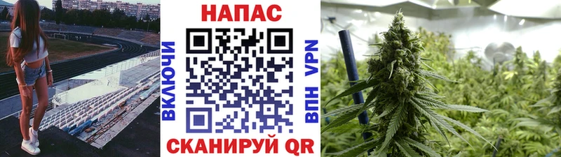 Конопля Amnesia  Цивильск 